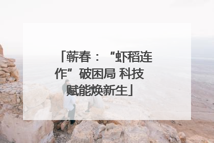 蕲春：“虾稻连作”破困局 科技赋能焕新生